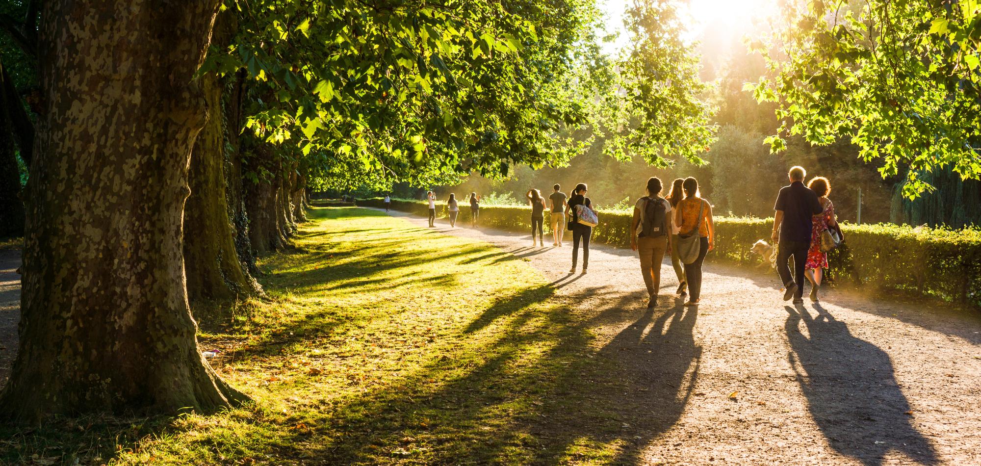 People walking in a park, with the sun shining brightly. 