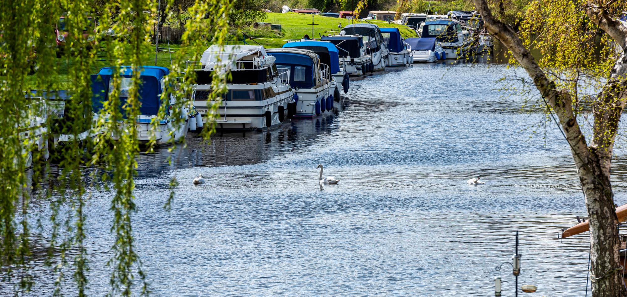 Image of Maidstone