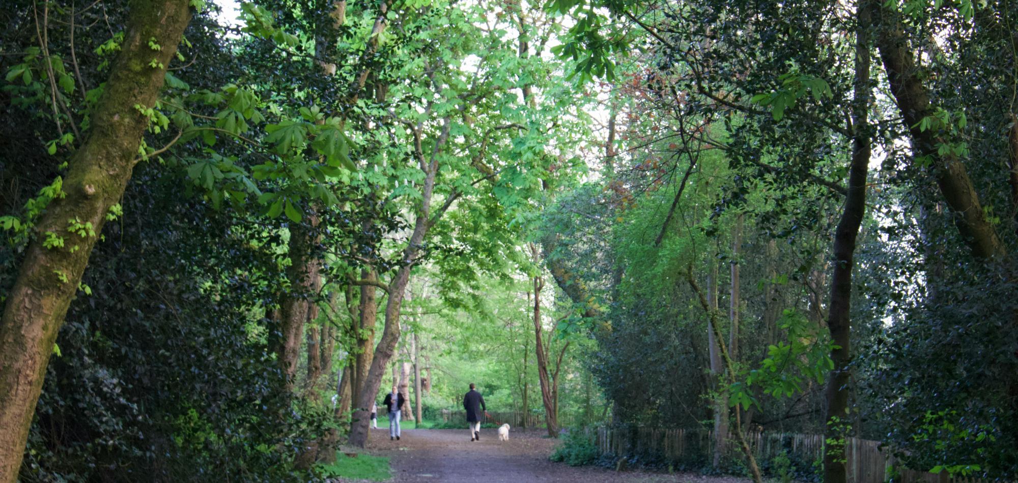 A UK park