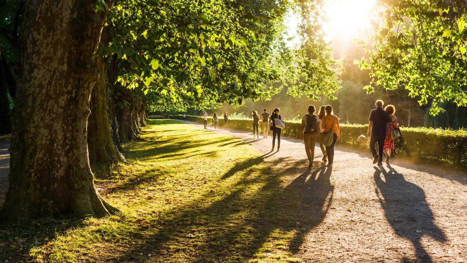 People walking in a field