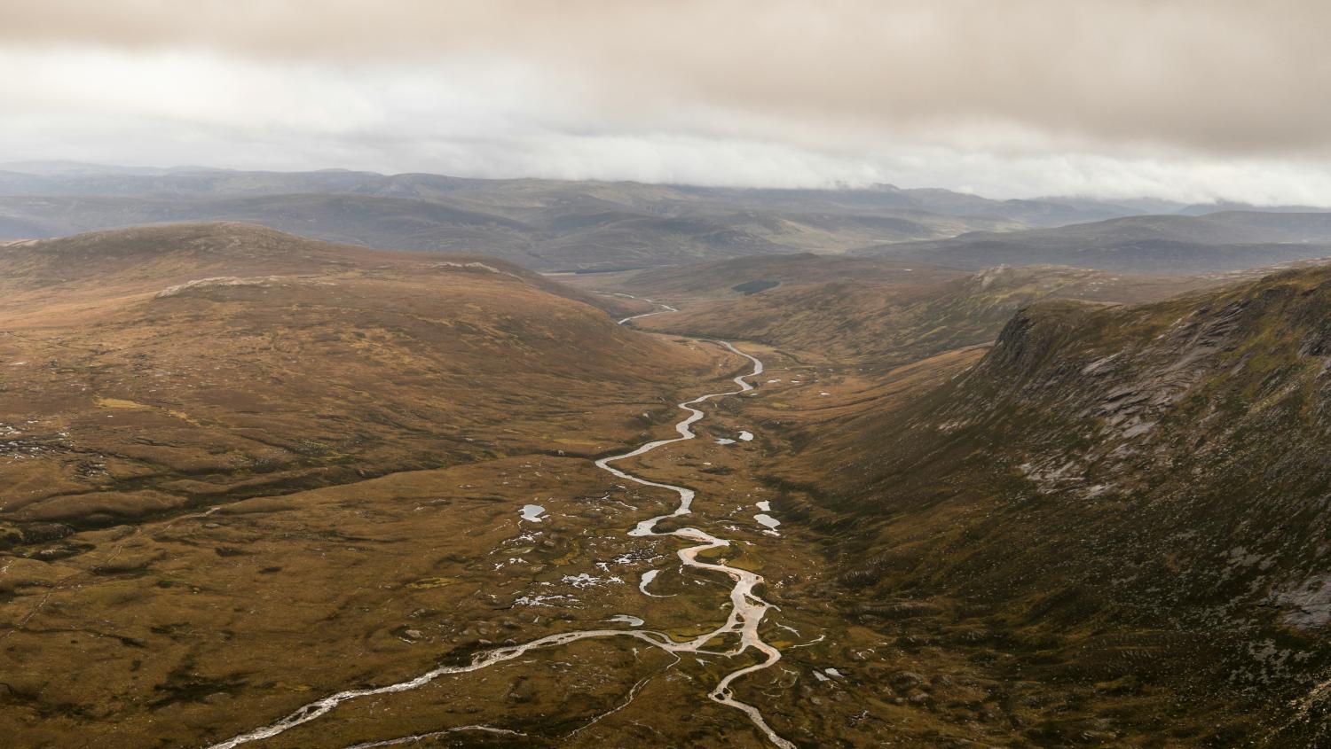 Cairngorms
