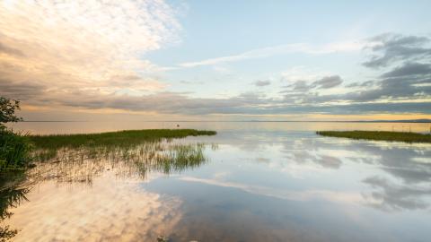 Lough Neagh